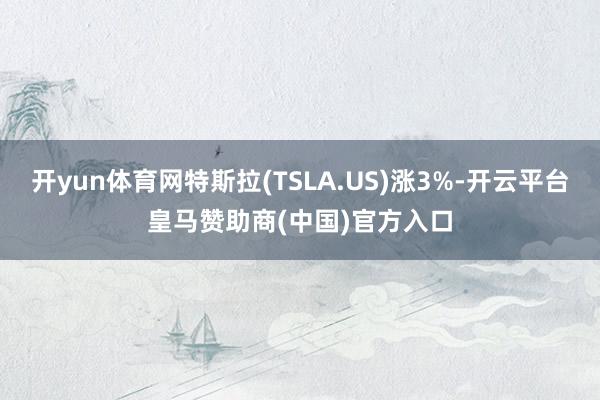 开yun体育网特斯拉(TSLA.US)涨3%-开云平台皇马赞助商(中国)官方入口