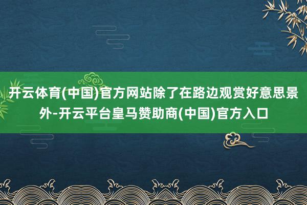 开云体育(中国)官方网站除了在路边观赏好意思景外-开云平台皇马赞助商(中国)官方入口