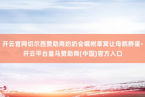 开云官网切尔西赞助商奶奶会嘱咐草窝让母鹅孵蛋-开云平台皇马赞助商(中国)官方入口